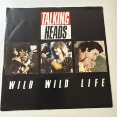 Item thumbnail for item 24a1f5d8-7410-453c-9826-006394ff55a6