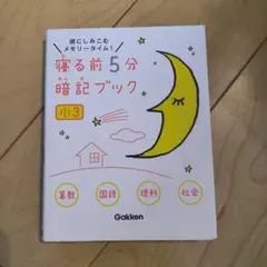 Item thumbnail for item fd3511b2-f122-41d2-bd22-bc641ddadeea