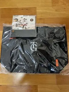 Item thumbnail for item 0c374ca0-3e43-4b67-8ff9-dc9f1947e7bc