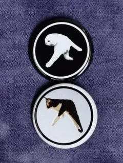 缶バッジ APHEX TWINっぽい猫 IntelligentDanceMeow
