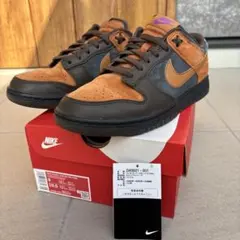 NIKE DUNK LOW RETRO PRM 