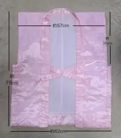 Item thumbnail for item 2dac3821-a3da-4668-8c24-6bb3ea850434