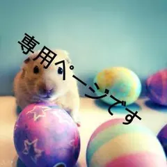 MAYA様専用ページです