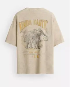 ZARA ザラ　プリント柄テクスチャニットTシャツ