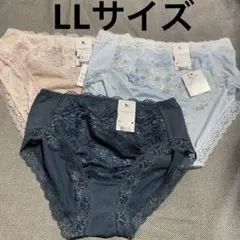 Item thumbnail for item 455b74b3-c326-4796-9b30-2a5d3158e843