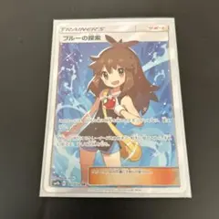 2026年最新】ブルーの探索srの人気アイテム - メルカリ