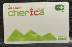 イ*チ様 激レア・非売品！名鉄 130周年記念 ICカード manaca - メルカリ