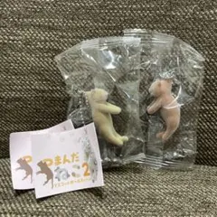 つまんだねこ　シンガプーラ　アビシニアン