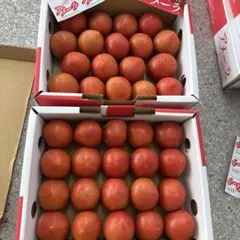 超メルカリ市価格！アメーラトマト5箱 - メルカリ