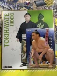 2026年最新】力色紙 相撲の人気アイテム - メルカリ