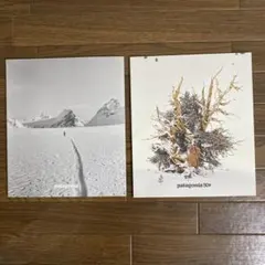 Item thumbnail for item 026923a8-4474-4308-bc13-c39c385f1e03