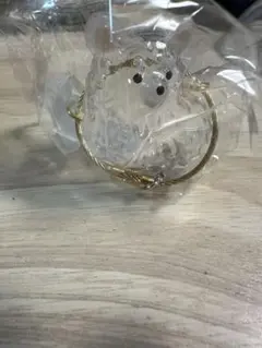 うちの子のけだまだま 犬 チワワ 白