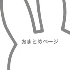 ✴︎ ティラミス様　専用　✴︎