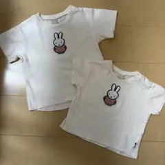 プティマイン　Tシャツ　ミッフィー　80cm 100cm
