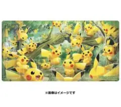 ポケモンカード　ラバープレイマット　まとめ売り　ラバーマット　ポケカ　新品未開封 新品未開封】ポケカ ラバープレイマット 2個セット｜Yahoo