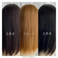 2024新世界　人毛100%　ウィッグ　フルウィッグ　シルクスキン　医療ウィッグ