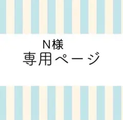 【N様専用出品】のサムネイル