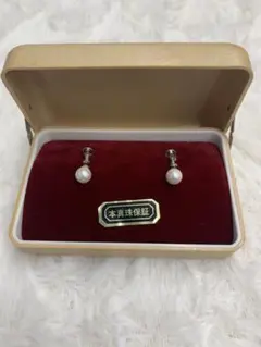 Item thumbnail for item bfb01fc8-6efb-43c8-8592-d235746b2e1e