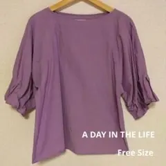 ユナイテッド アローズ A DAY IN THE LIFE くすみ紫 カットソー