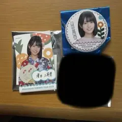 Item thumbnail for item 3d3df513-641b-40c3-9c4d-5858d98cf2c3