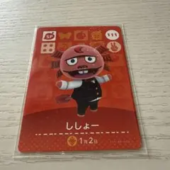 amiiboカード　ししょー