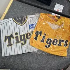 Item thumbnail for item 4ce50f29-e75b-41f2-9b22-44a494747a2b