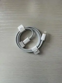 Apple 純正　Lightningケーブル　新品未使用　Type-C