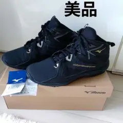Mizuno Wave Diverge LG4 23.5cmのサムネイル