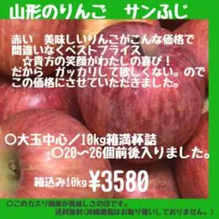 ぽーちゅらか様専用　山形 サンふじ 訳あり 10kg