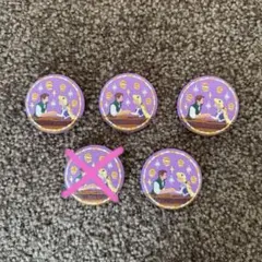 ディズニー 刺繍缶バッジ ラプンツェル 4個セット