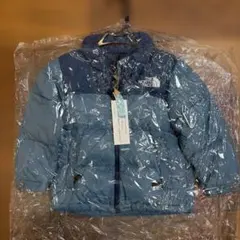 THE NORTH FACE ダウンジャケット NDJ91863