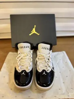 NIKE Air Jordan Max Aura スニーカー　27cm