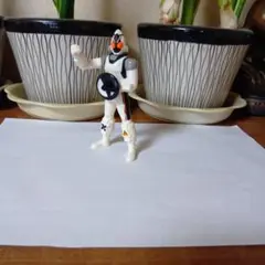 仮面ライダー　フォーゼ　ハッピーセット　フィギュア