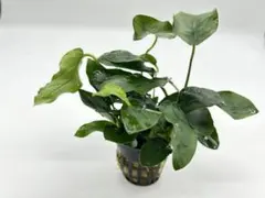 りりあん様 リクエスト 3点 まとめ商品