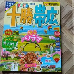 Item thumbnail for item 1138dfcb-4f2d-4476-a5b2-7ca570116309