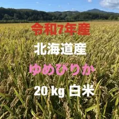 北海道産ゆめぴりか20キロ 白米のサムネイル