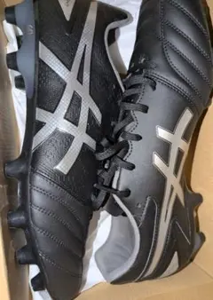 ‼️引越し格安販売中‼️ asics DSLight 29cm