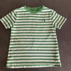 Polo Ralph Lauren 緑と白ストライプ Tシャツ 130