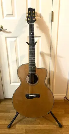 2025年最新】L.R.Baggs ピックアップの人気アイテム - メルカリ