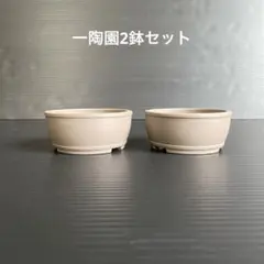 一陶園2鉢　ミニ盆栽のサムネイル