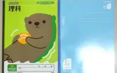 Item thumbnail for item b8271df9-b762-48ef-ac2c-79412efecc47