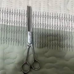 Item thumbnail for item 7e1c62bd-d0ac-44ce-be3b-2e4a7a867f56