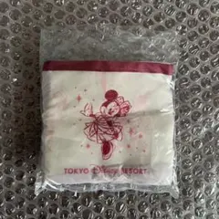 東京ディズニーランド 40周年 グランドフィナーレ エコバッグ