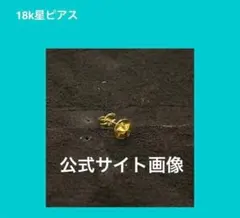 ビンゴブラザーズ 18k星ピアス 1個 THE BINGO BROTHERS（ザ・ビンゴブラザーズ） ザ ビンゴブラザーズ K24