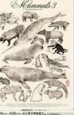 ヒグチユウコ展 ポスター全種(4枚)セット