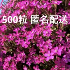 みずいろ様 リクエスト 3点 まとめ商品