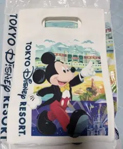 ディズニーリゾート ギフト袋セット - メルカリ