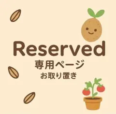 いぶちん樣專用ドルステニア・ギガス　のブラータ10粒種子 2026年最新】ブラータ ギガスの人気アイテム - メルカリ