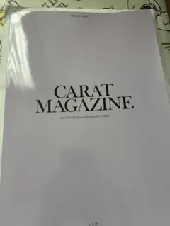 2026年最新】SEVENTEEN会報誌の人気アイテム - メルカリ