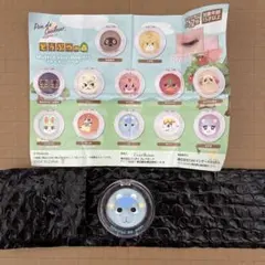 どうぶつの森　マルチカラーパウダー　ガチャ　レム